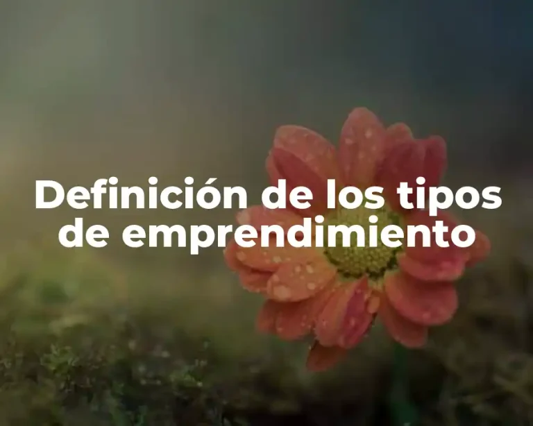 Definición de los tipos de emprendimiento