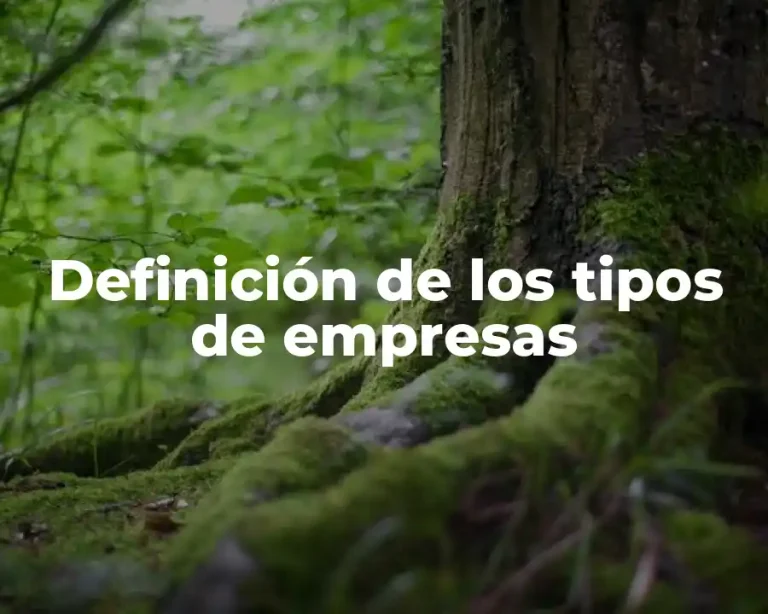 Definición de los tipos de empresas