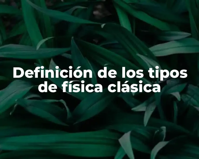 Definición de los tipos de física clásica
