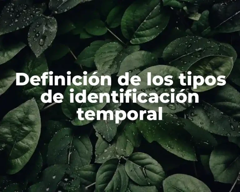 Definición de los tipos de identificación temporal