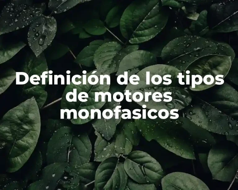 Definición de los tipos de motores monofasicos