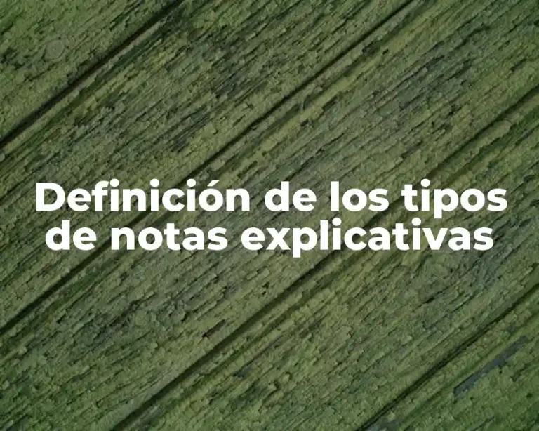 Definición de los tipos de notas explicativas