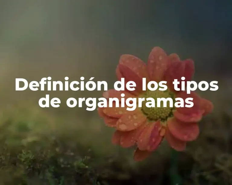 Definición de los tipos de organigramas