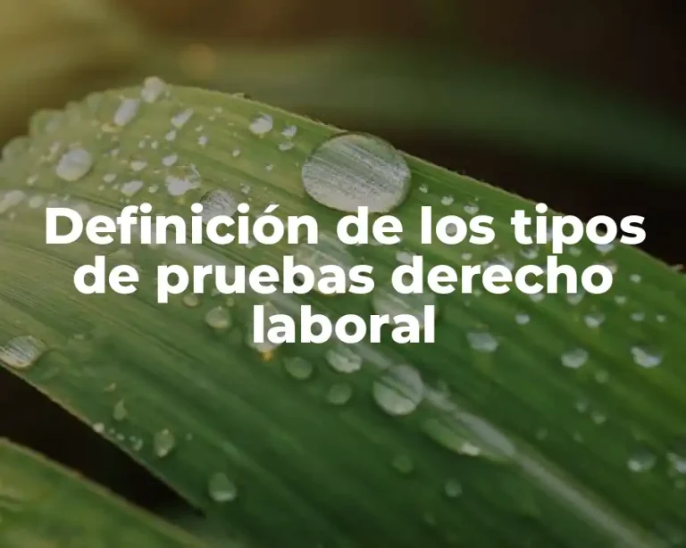 Definición de los tipos de pruebas derecho laboral