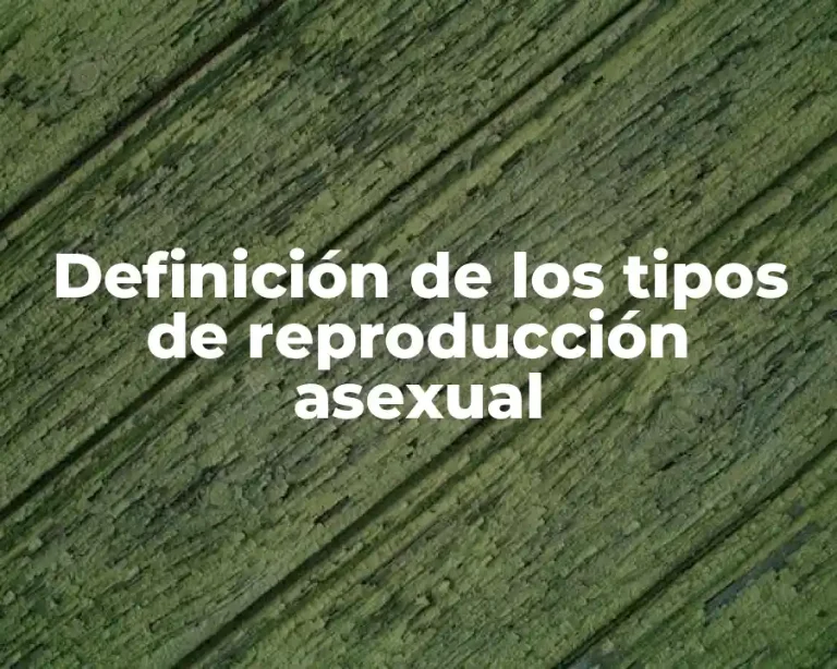 Definición de los tipos de reproducción asexual
