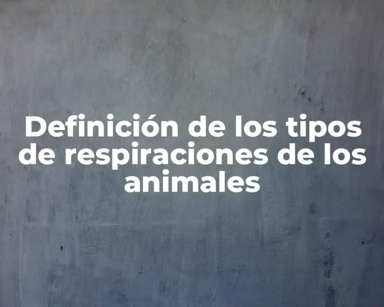 Definición de los tipos de respiraciones de los animales