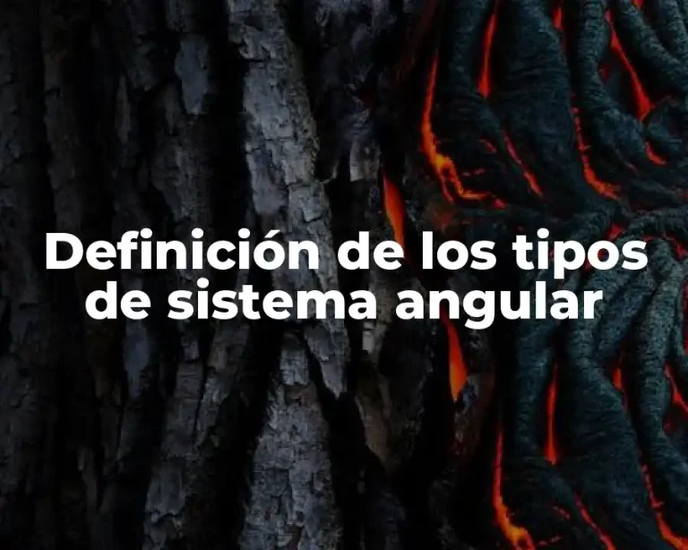 Definición de los tipos de sistema angular