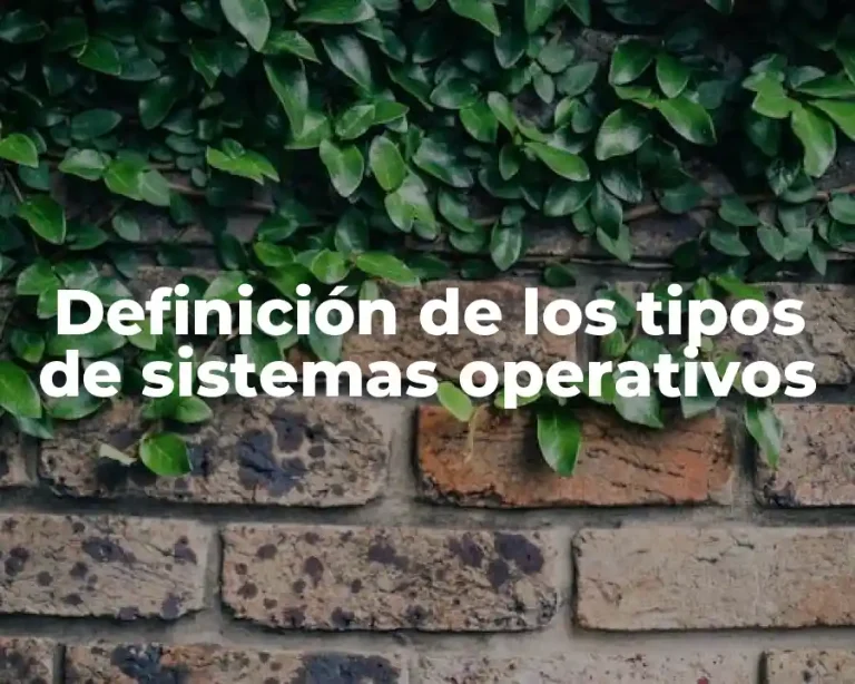 Definición de los tipos de sistemas operativos