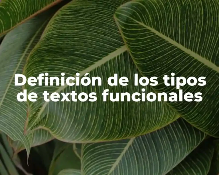 Definición de los tipos de textos funcionales
