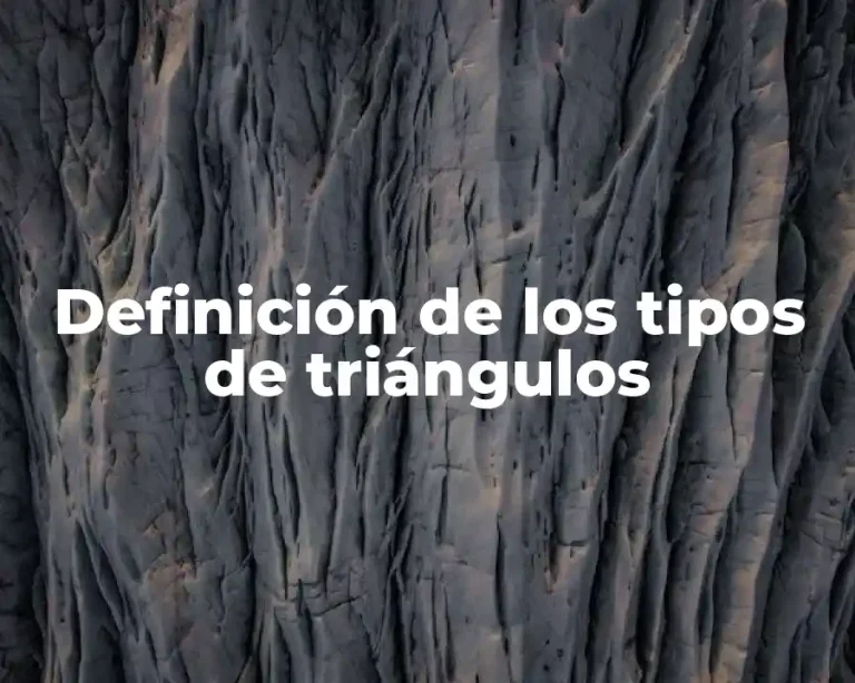 Definición de los tipos de triángulos