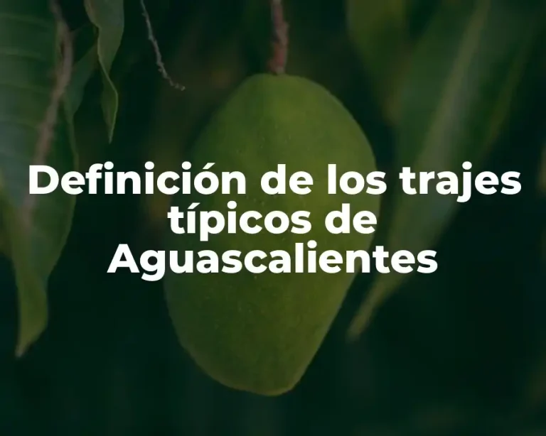 Definición de los trajes típicos de Aguascalientes