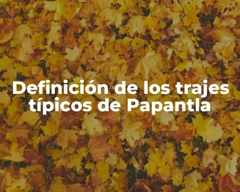 Definición de los trajes típicos de Papantla