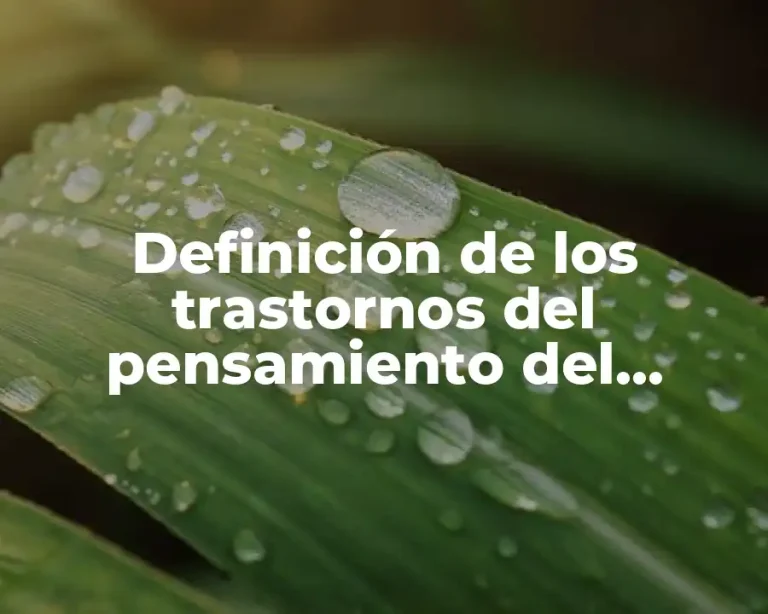 Definición de los trastornos del pensamiento del adolescente