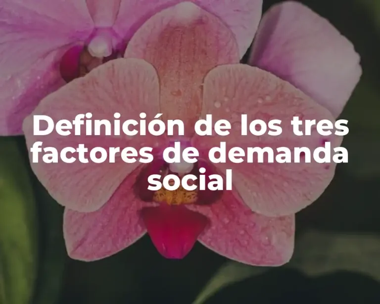 Definición de los tres factores de demanda social