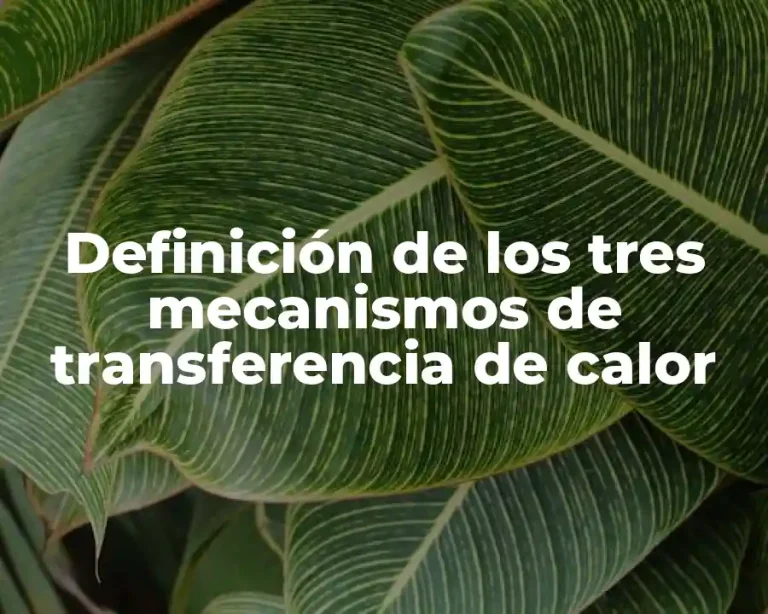 Definición de los tres mecanismos de transferencia de calor