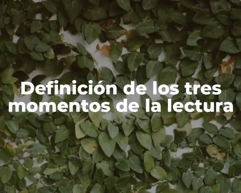 Definición de los tres momentos de la lectura