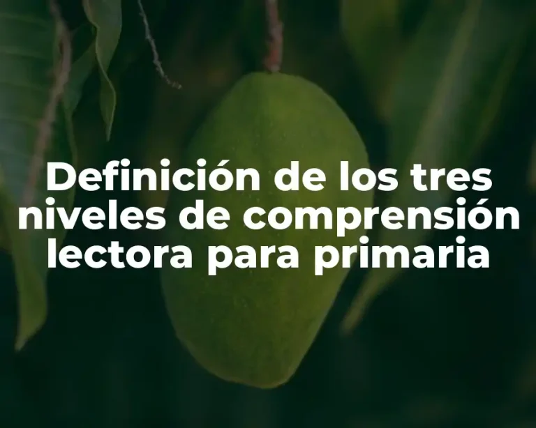 Definición de los tres niveles de comprensión lectora para primaria