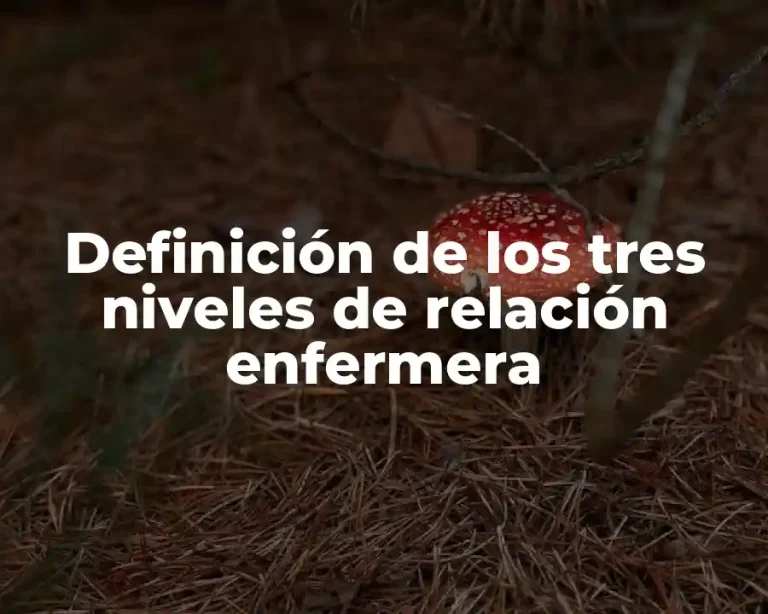Definición de los tres niveles de relación enfermera