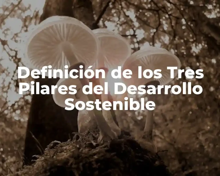 Definición de los Tres Pilares del Desarrollo Sostenible