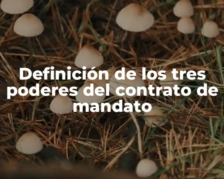Definición de los tres poderes del contrato de mandato