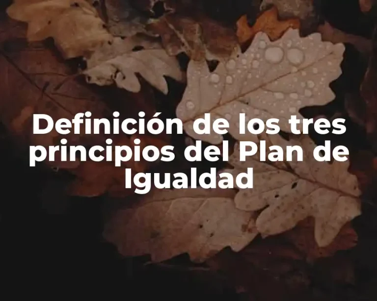 Definición de los tres principios del Plan de Igualdad