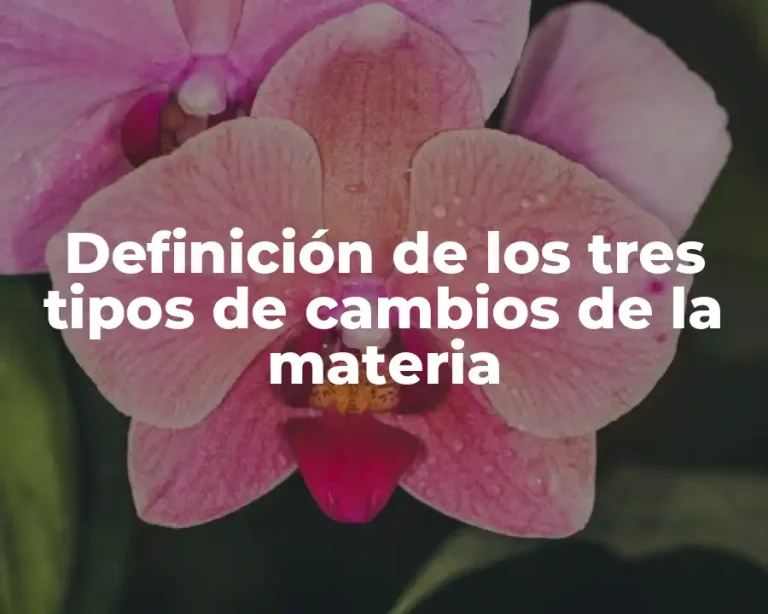 Definición de los tres tipos de cambios de la materia