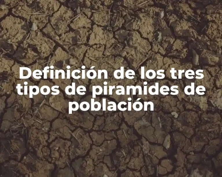 Definición de los tres tipos de piramides de población