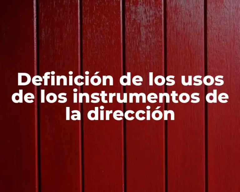 Definición de los usos de los instrumentos de la dirección