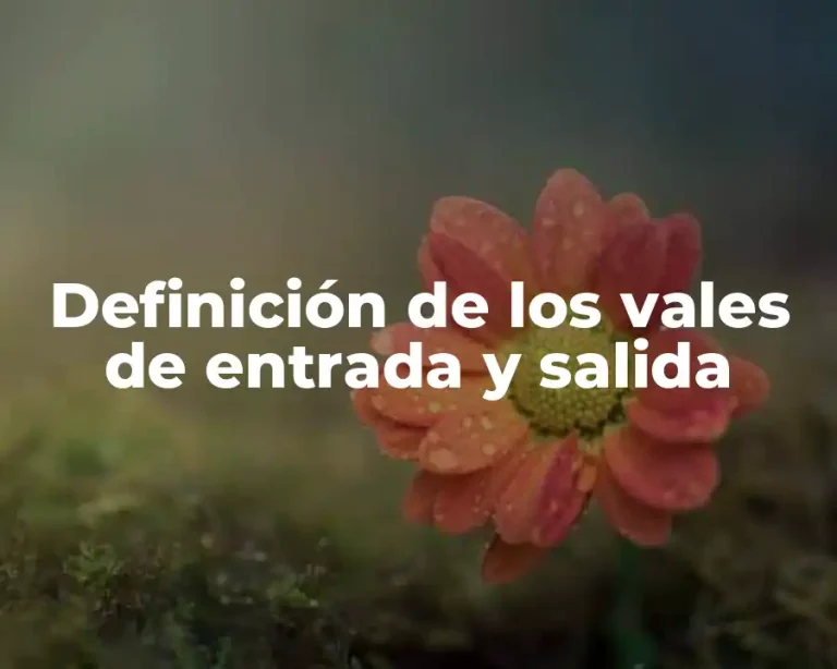 Definición de los vales de entrada y salida