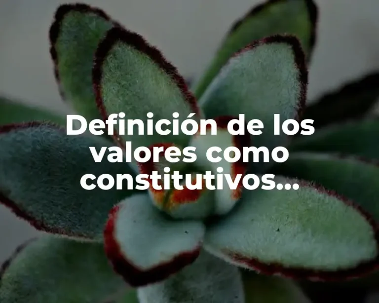 Definición de los valores como constitutivos humanizadores