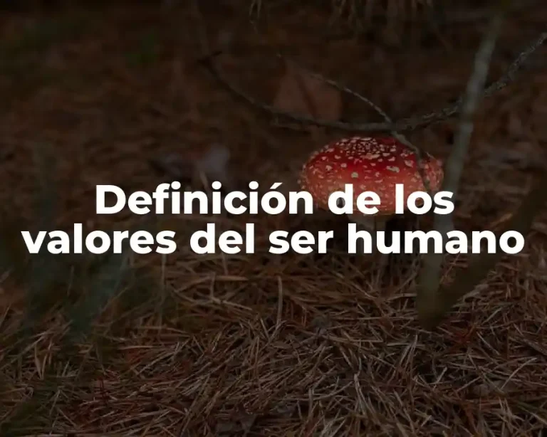 Definición de los valores del ser humano
