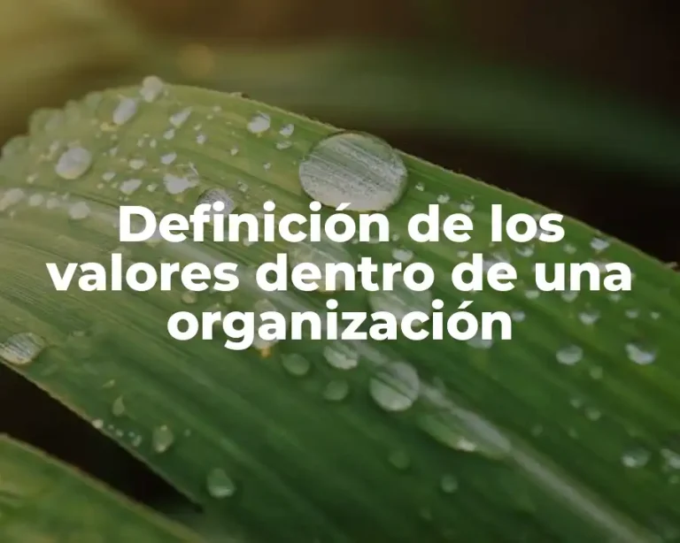 Definición de los valores dentro de una organización