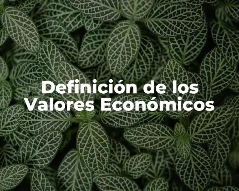 Definición de los Valores Económicos