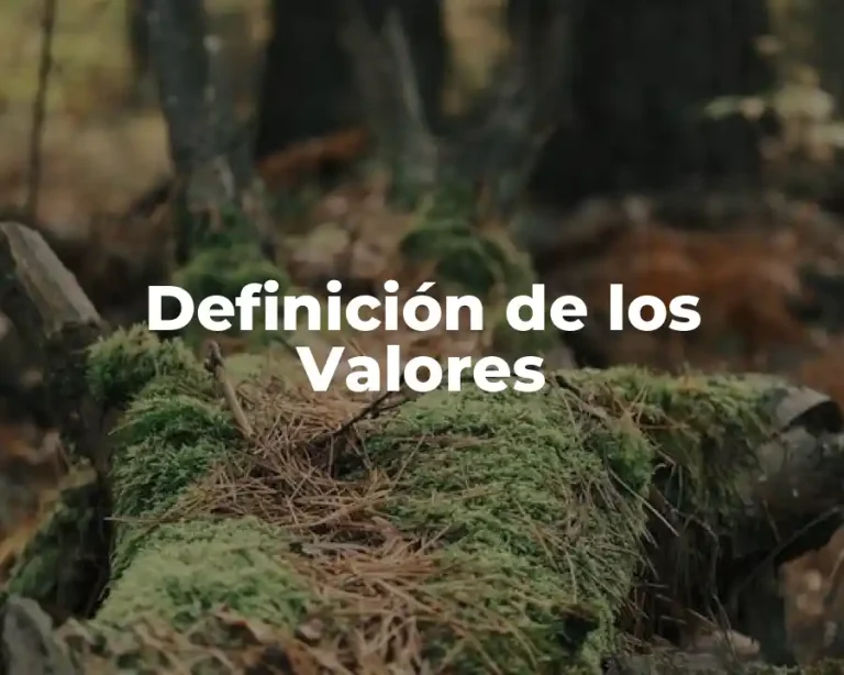 Definición de los Valores