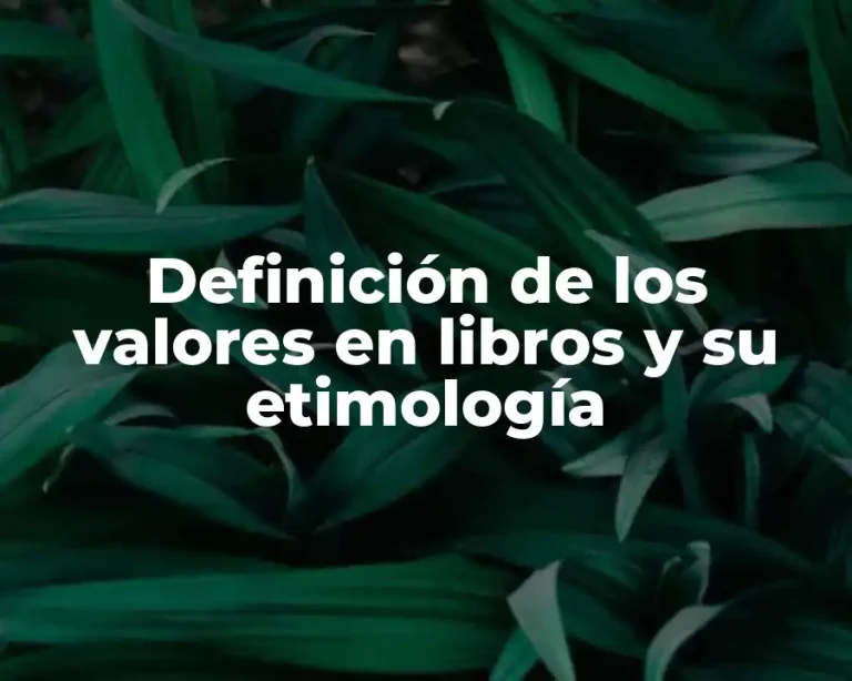 Definición de los valores en libros y su etimología