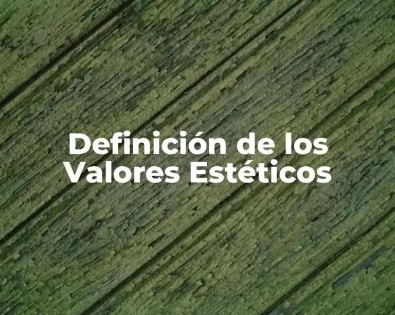 Definición de los Valores Estéticos