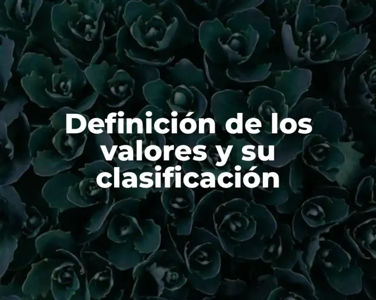 Definición de los valores y su clasificación