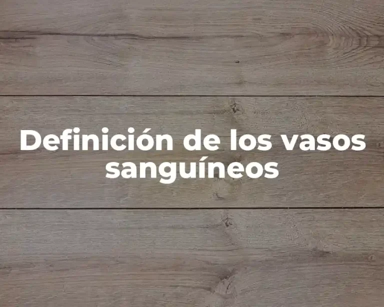 Definición de los vasos sanguíneos