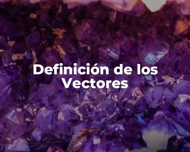 Definición de los Vectores
