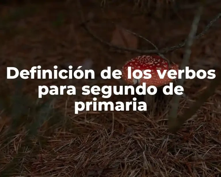 Definición de los verbos para segundo de primaria
