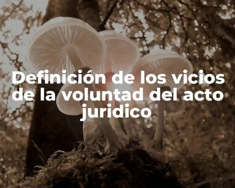 Definición de los vicios de la voluntad del acto juridico