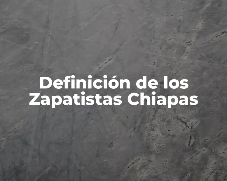 Definición de los Zapatistas Chiapas