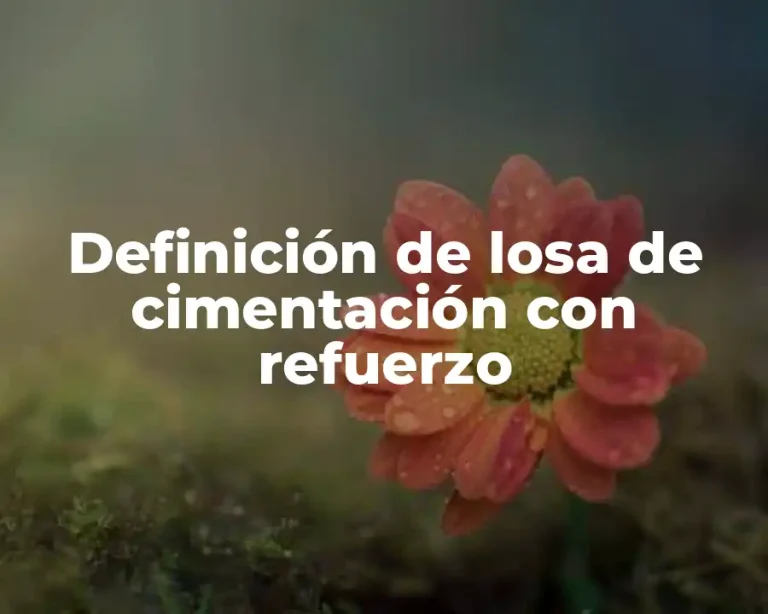 Definición de losa de cimentación con refuerzo