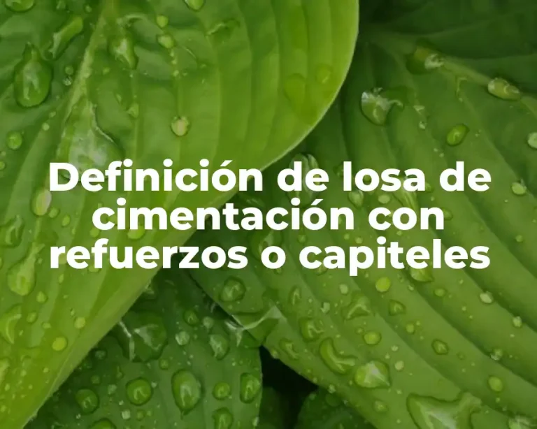 Definición de losa de cimentación con refuerzos o capiteles