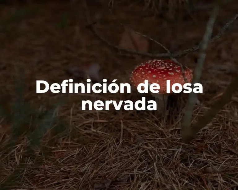 Definición de losa nervada