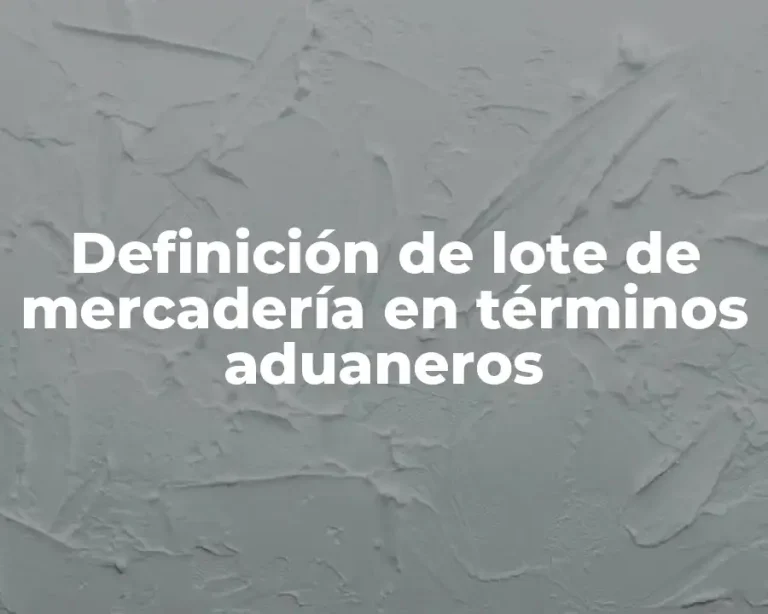 Definición de lote de mercadería en términos aduaneros