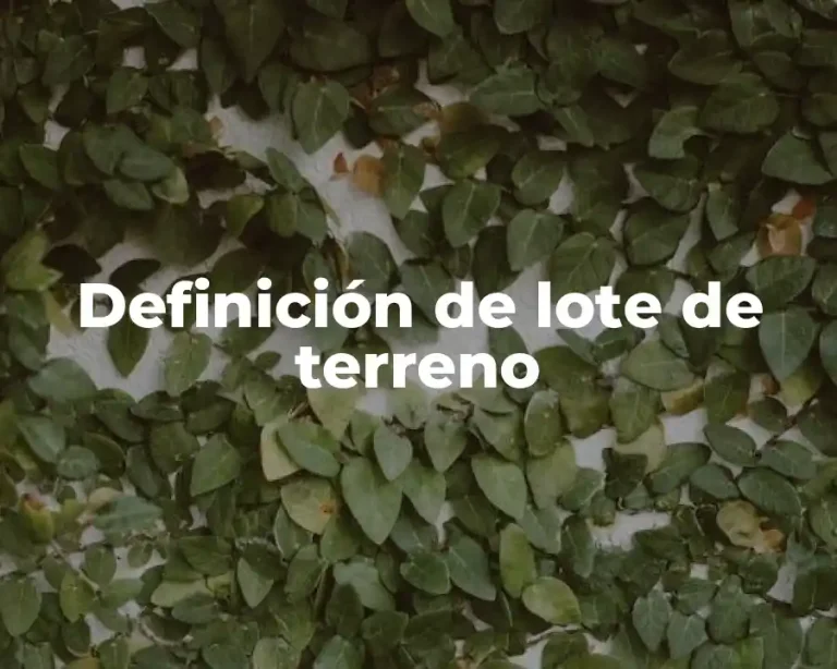 Definición de lote de terreno
