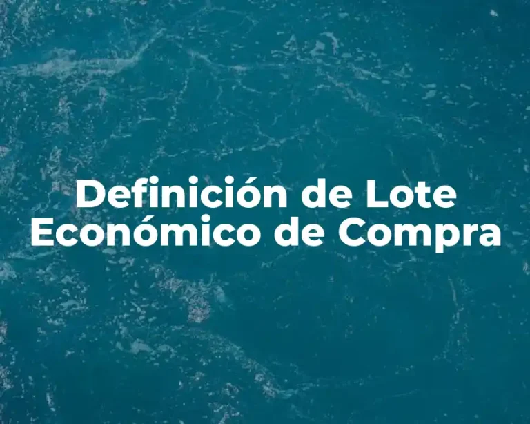 Definición de Lote Económico de Compra