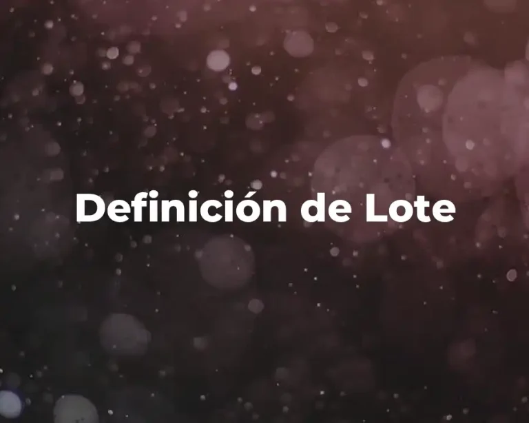 Definición de Lote