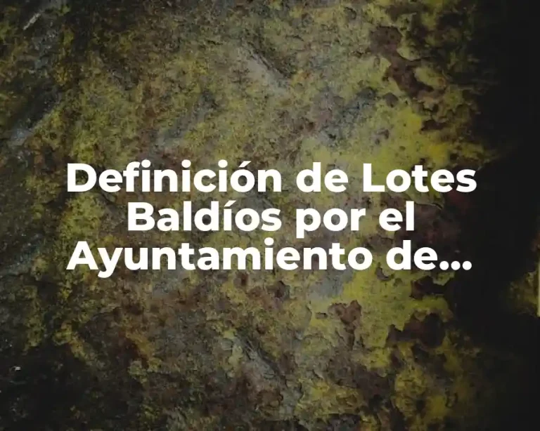 Definición de Lotes Baldíos por el Ayuntamiento de Mérida